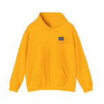 5 Gospel Symbols Special USA Edition | Christian Hoodie